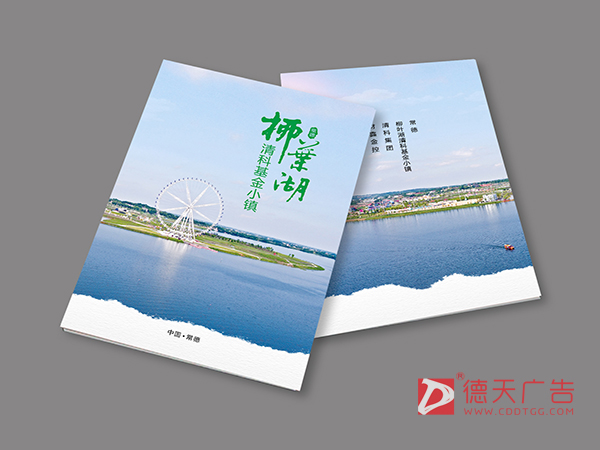 柳叶湖清科基金小镇招商宣传画册设计印刷