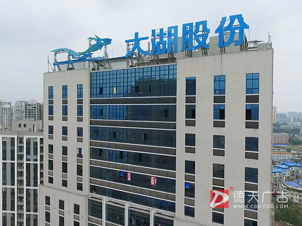 中国淡水鱼第一股—大湖股份（英文版）