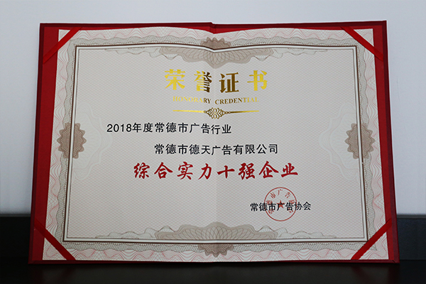 综合能力十强企业